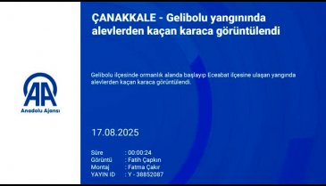 Gelibolu yangınında alevlerden kaçan karaca görüntülendi