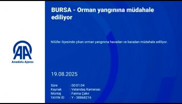 Bursa'da orman yangını: Çok sayıda ekip sevk edildi!