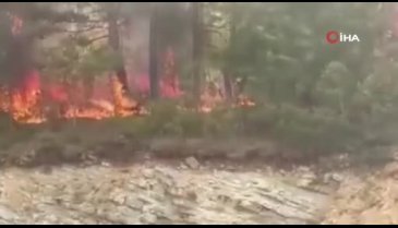 Bolu'da orman yangını başladı: Havadan ve karadan müdahale sürüyor