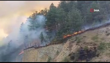Bolu'da orman yangını: Karayolu ulaşıma kapatıldı