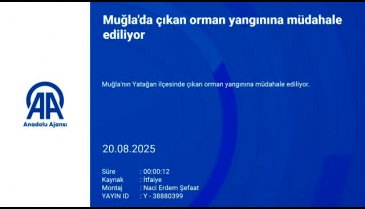 Muğla'da yangınla mücadele! Ekiplerin mücadelesi sürüyor...