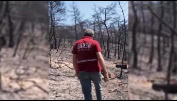 Gürsu'nun yanan ciğerleri yeniden hayat bulacak