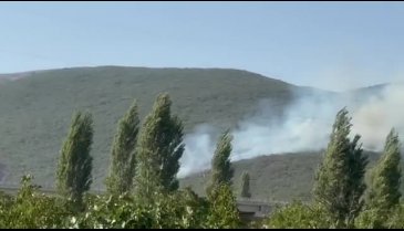 Bursa'da orman yangını! Çok sayıda ekip sevk edildi...