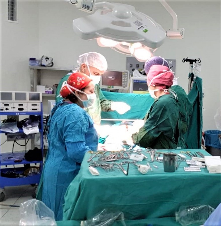 Bursa, organ bağışında liderliğini koruyor