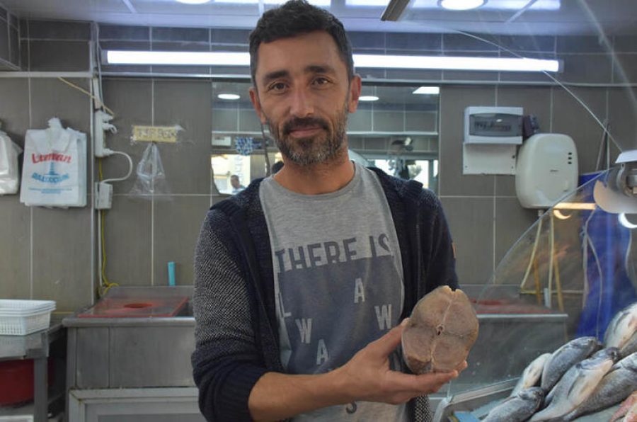 Balıkçılar vatandaşları uyardı �Palamut� diye tombik satıyorlar
