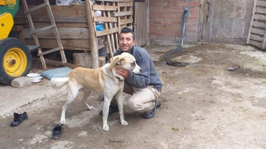 Su dolu çukurdan kurtardığı köpeği sahiplendi Güncel Haberler