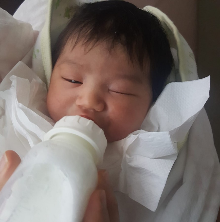 Çöpe bırakılan bebek soruşturmasında anne ve ebeye gözaltı Çöpe bırakılan bebek soruşturmasında anne ve ebeye gözaltı