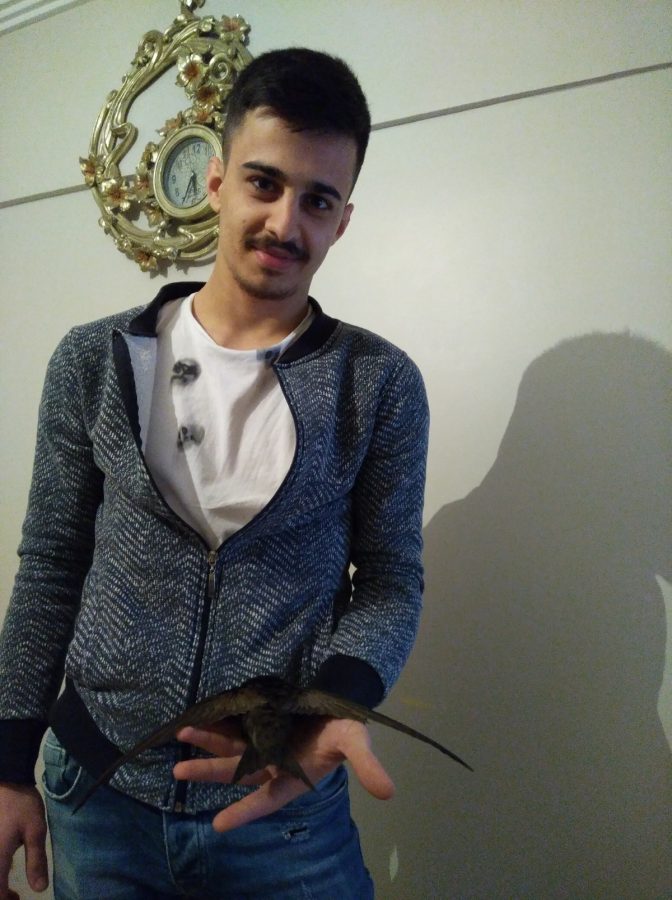 Bursa�da evine Ebabil kuşu girdi, şaşkına döndü Bursa Haberleri