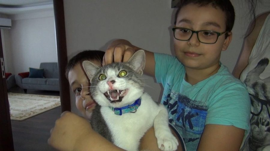 Bursa�da 6 aylık kedi 40 metrelik merdivenle kurtarıldı Bursa