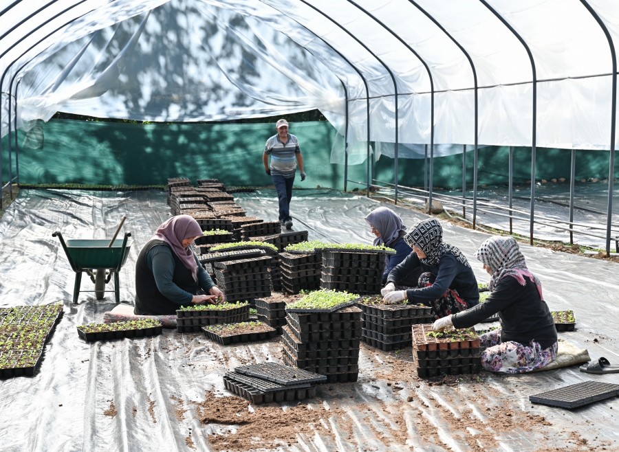 Çiftçi üretiyor, Bursa çiçek açıyor