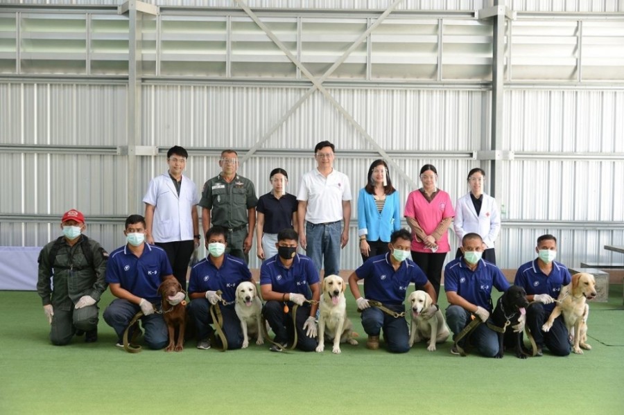 köpeklerin ateşi nasıl ölçülür