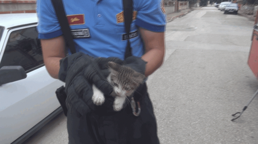 Bursa�da arabaya giren yavru kedi gurbetçi aileye zor anlar yaşattı