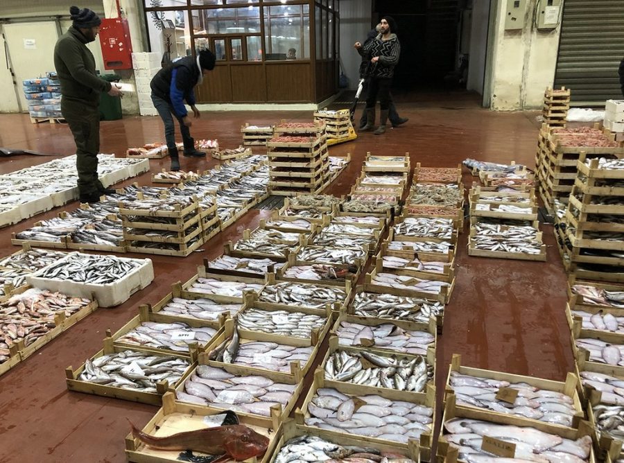 Bursa�daki balık hali gece olunca şenleniyor Bursa Haberleri Bölge