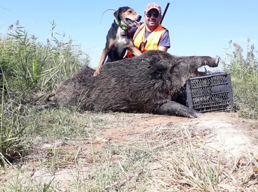350 Kiloluk Domuz Avladilar Bursada Bugun Bursa Bursa Haber Bursa Haberi Bursa Haberleri Bursa