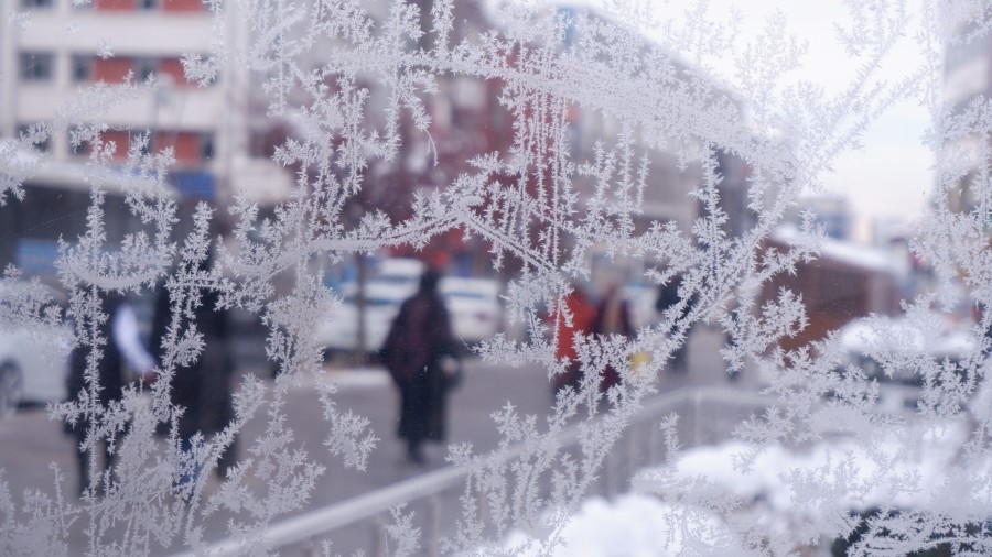 Erzurum buz tuttu