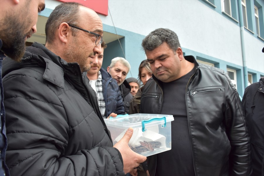 Aksaray'da Durdurulan Araçta 2 Boa Yılanı Ele Geçirildi - Güncel ...