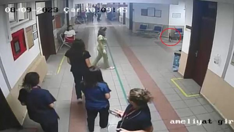 'Ali Cabbar' sağlığına kavuştu!