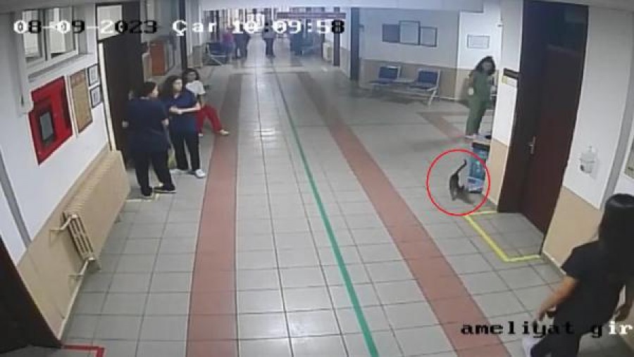 'Ali Cabbar' sağlığına kavuştu!