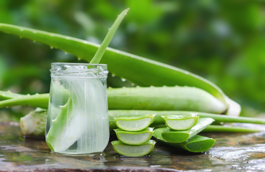 aloe pure aloe vera gel 100% Pure Aloe Vera Gel 16 oz