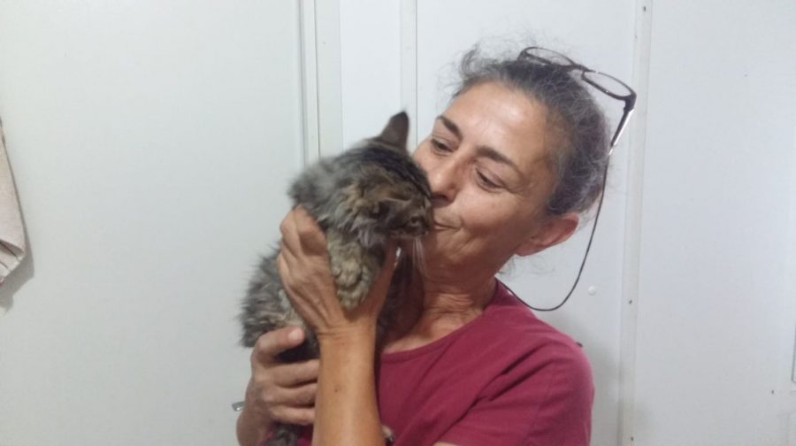 Bursa�da ölmek üzere olan yavru kedinin büyük değişimi Bursa
