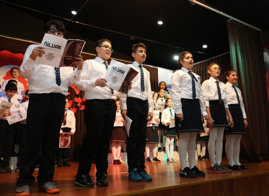 Puşkin olarak, Chaadayeve Şiirin analizi Puşkin olarak, Chaadayeve Şiirin analizi