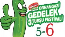 Bursa Orhangazi Gedelek Turşu Festivali 2016