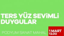 Ters Yüz Sevimli Duygular