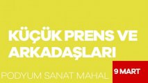 Küçük Prens ve Arkadaşları