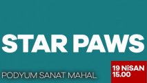 Star Paws
