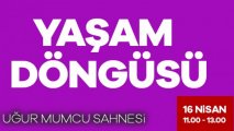 Yaşam Döngüsü