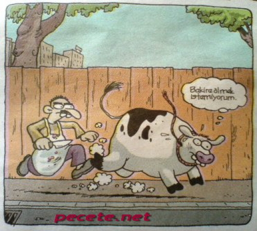 Karikatür Pornosu Olan Türkler Videosu