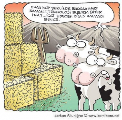 En Komik Karikatürler