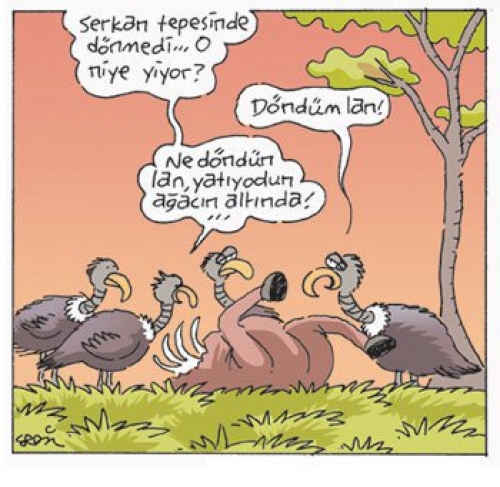 En Komik Karikatürler