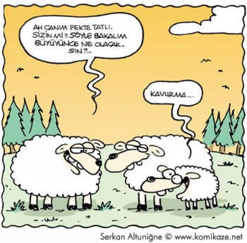 En Komik Karikatürler