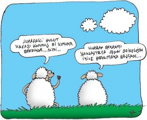 En Komik Karikatürler