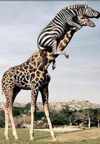 İnternette yayınlanan en komik fotoğraflar!