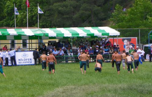 Pehlivanlar Çalı'da çıktı meydane