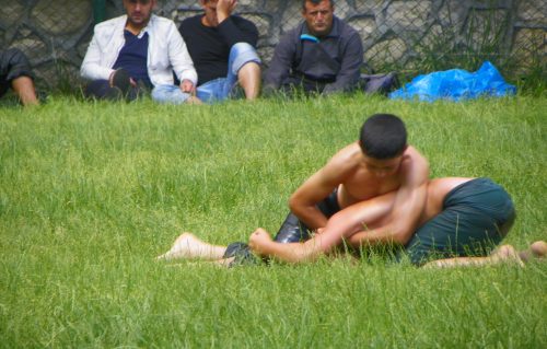 Pehlivanlar Çalı'da çıktı meydane