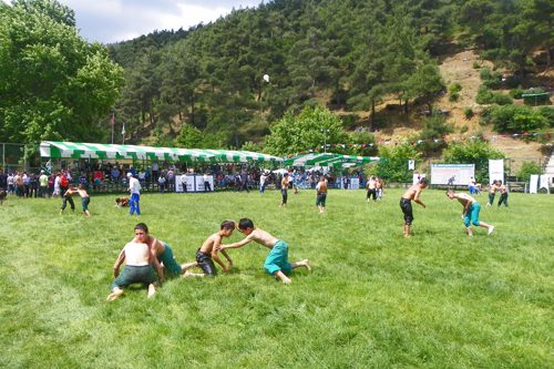 Pehlivanlar Çalı'da çıktı meydane