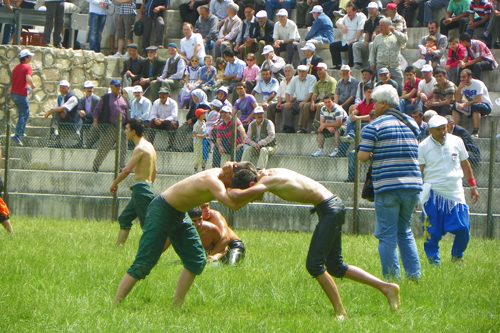 Pehlivanlar Çalı'da çıktı meydane