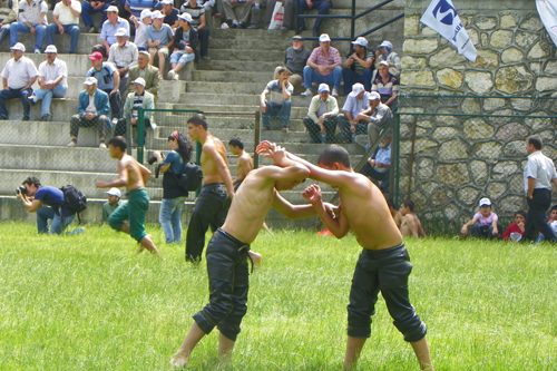 Pehlivanlar Çalı'da çıktı meydane