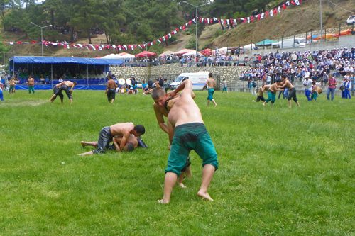 Pehlivanlar Çalı'da çıktı meydane