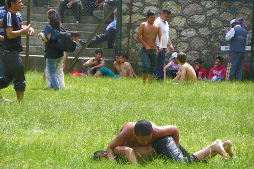 Pehlivanlar Çalı'da çıktı meydane