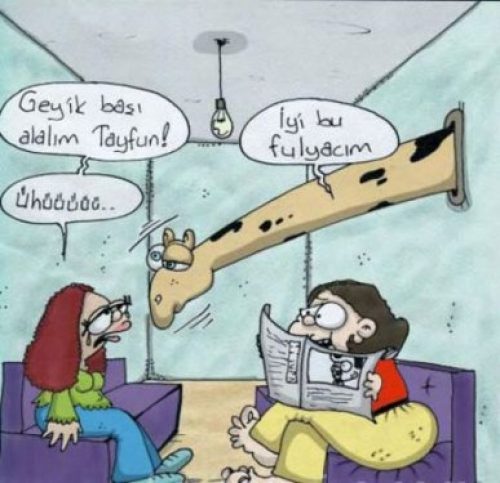 Bu karikatürler geçen yıla damgasını vurdu