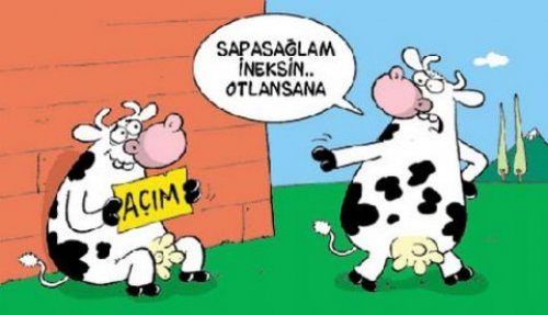 Bu karikatürler geçen yıla damgasını vurdu