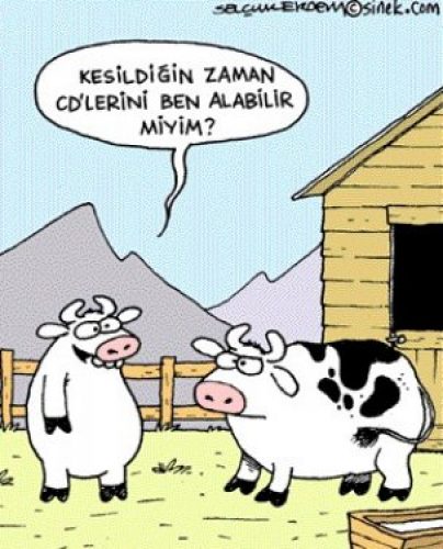 Karikatürlerle Kurban Bayramı