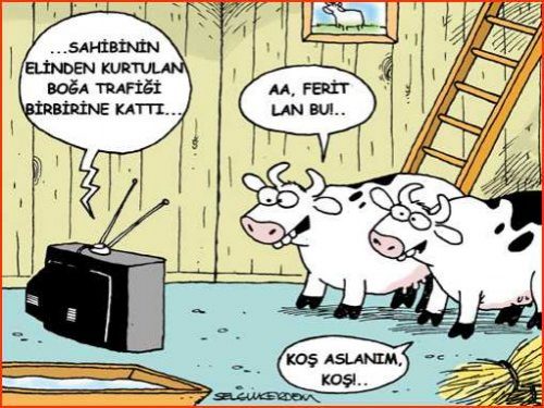 Karikatürlerle Kurban Bayramı