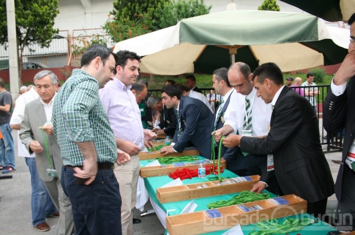 Bursaspor'da genel kurul heyecanı