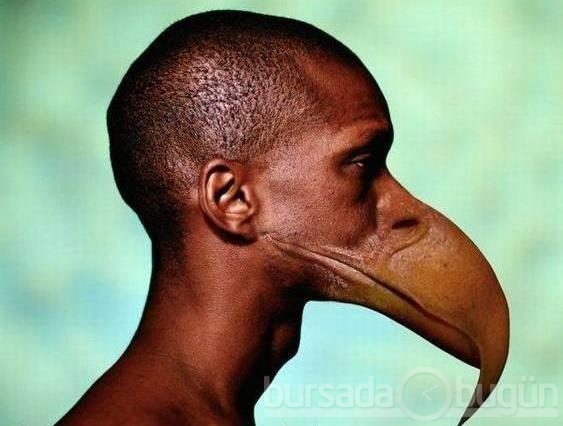 Photoshop harikaları