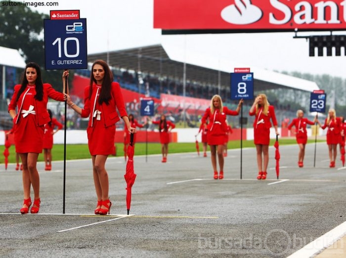 F1'in en güzel kızları